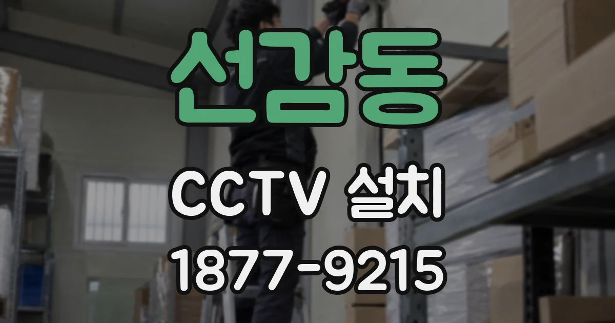 선감동 CCTV 설치