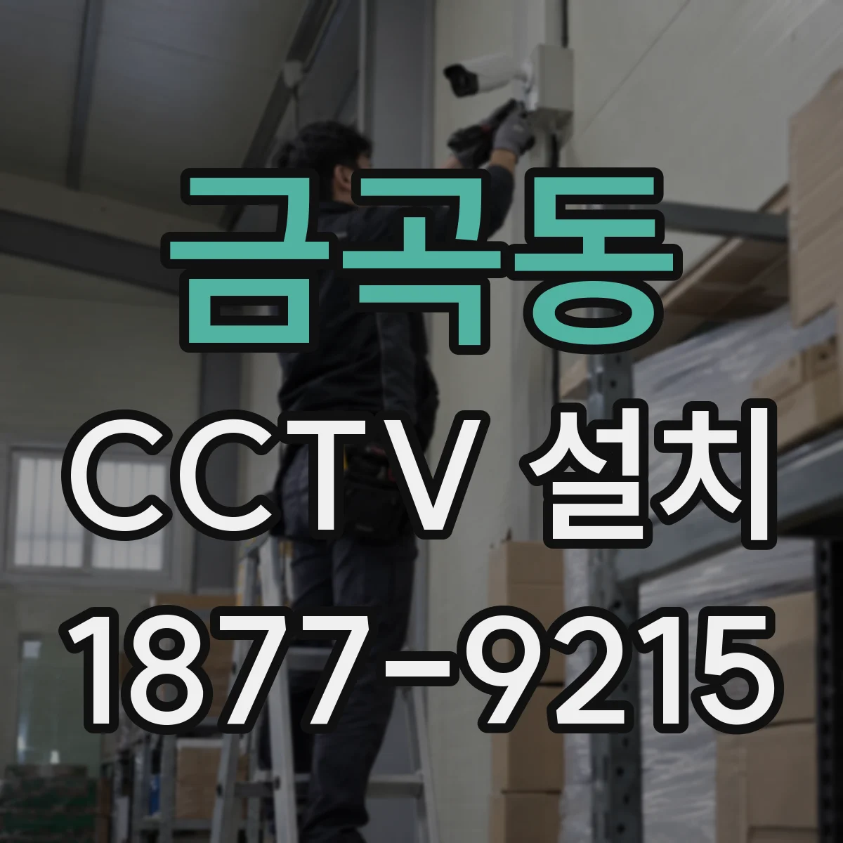 금곡동 CCTV 설치