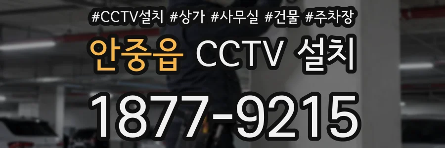 안중읍 CCTV 설치