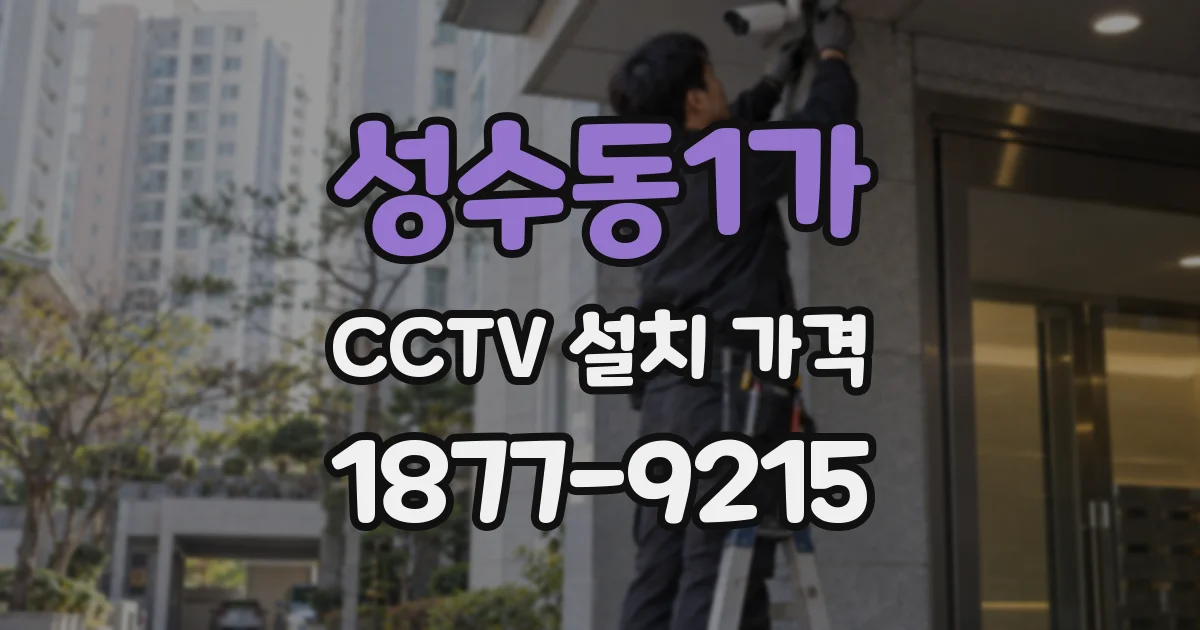 성수동1가 CCTV 설치 가격