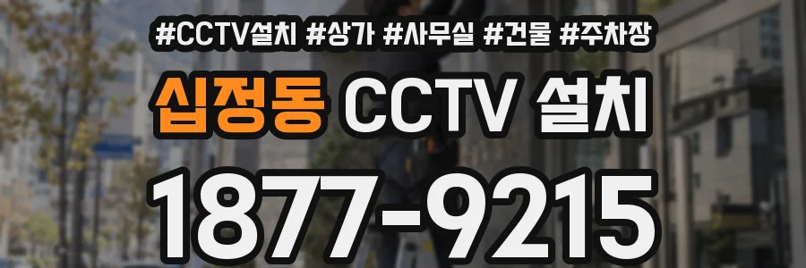 십정동 CCTV 설치