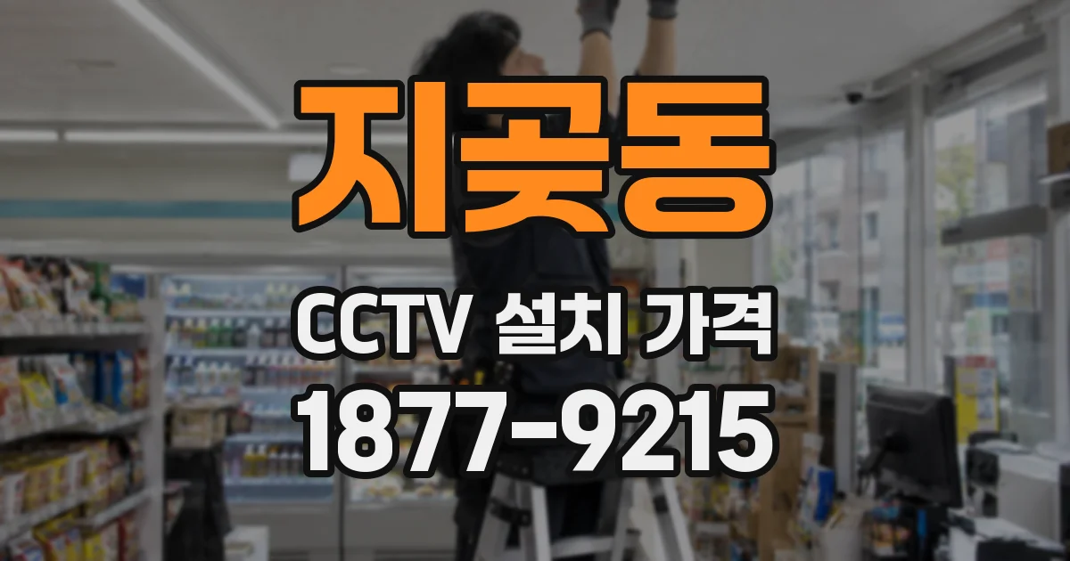 지곶동 CCTV 설치 가격