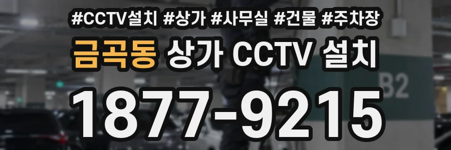 금곡동 상가 CCTV 설치