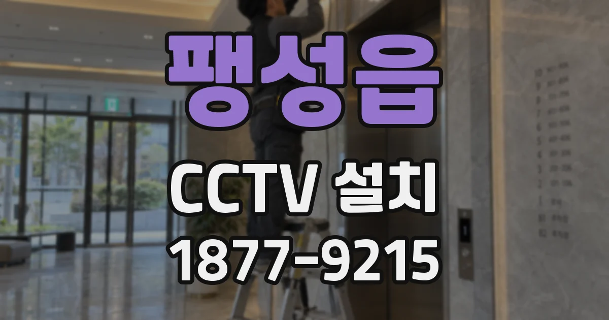 팽성읍 CCTV 설치