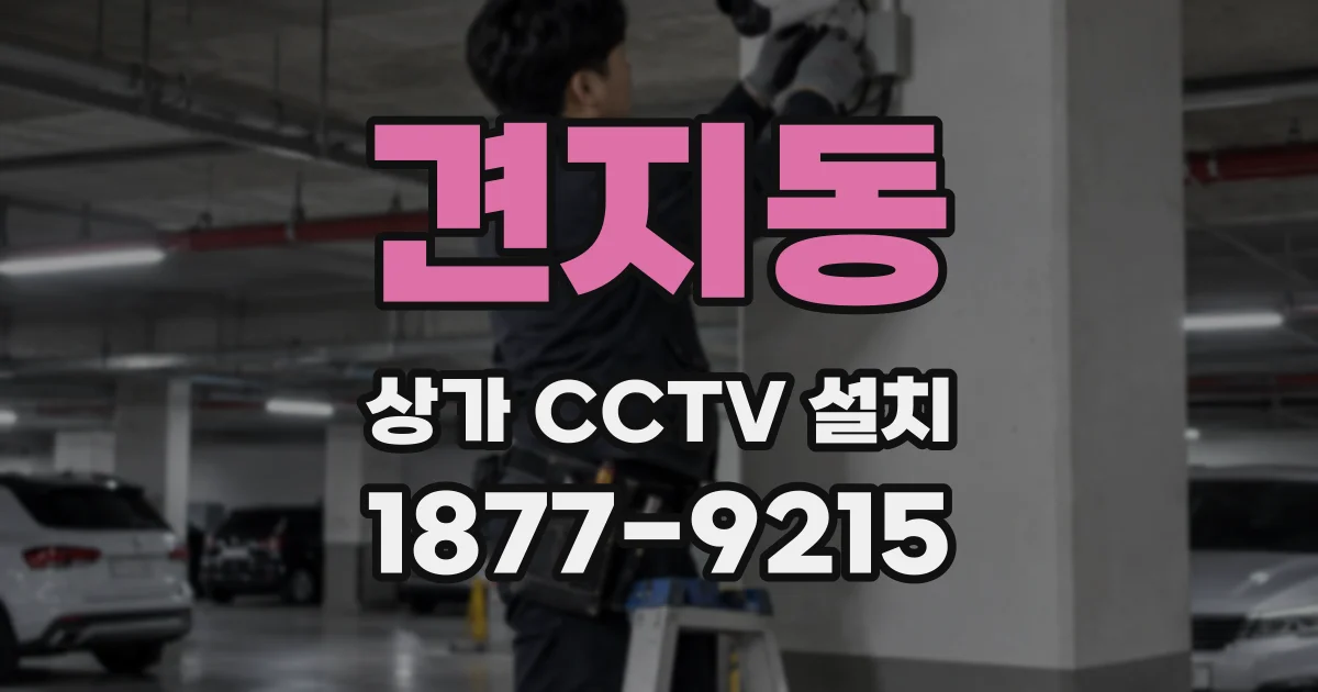 견지동 상가 CCTV 설치