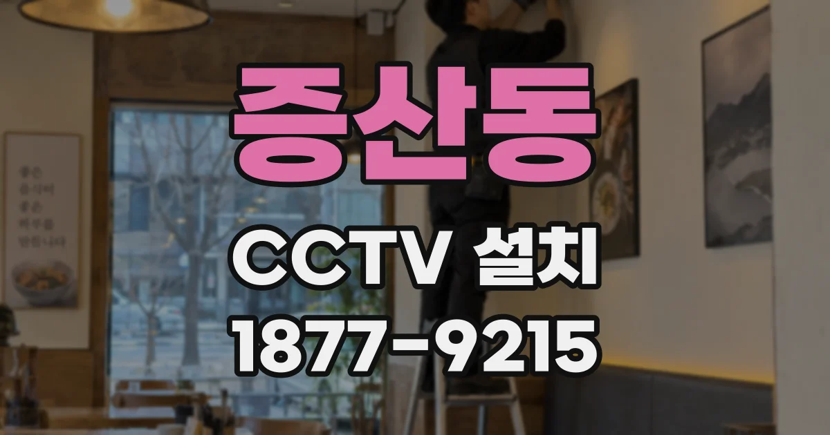 증산동 CCTV 설치
