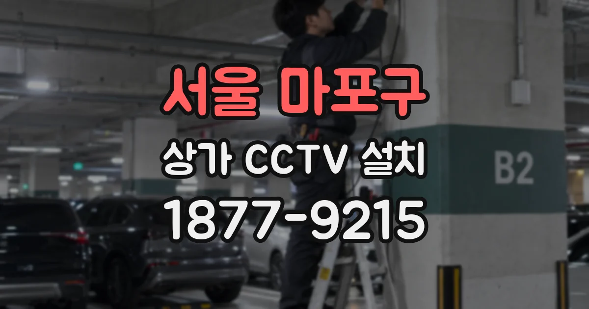 서울 마포구 상가 CCTV 설치