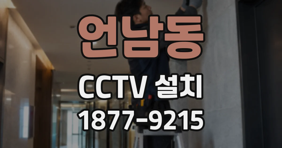 언남동 CCTV 설치