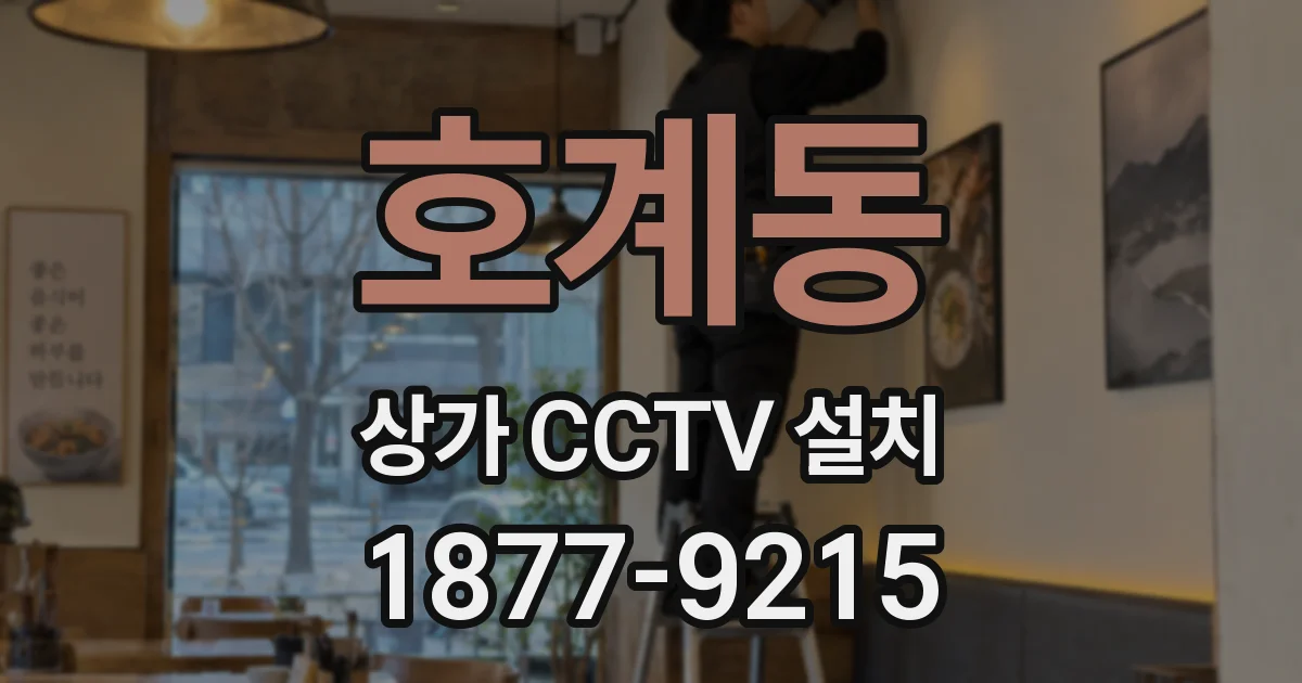 호계동 상가 CCTV 설치