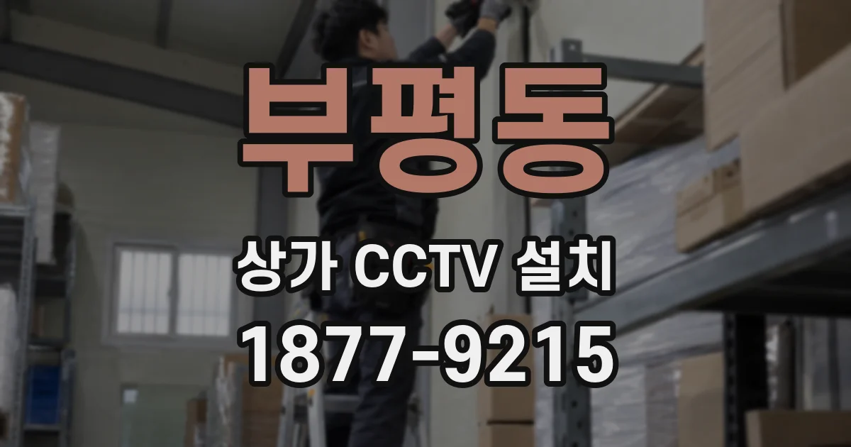 부평동 상가 CCTV 설치