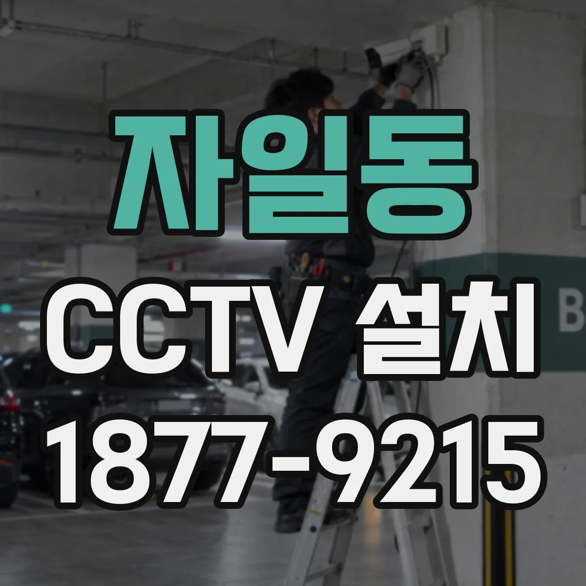 자일동 CCTV 설치