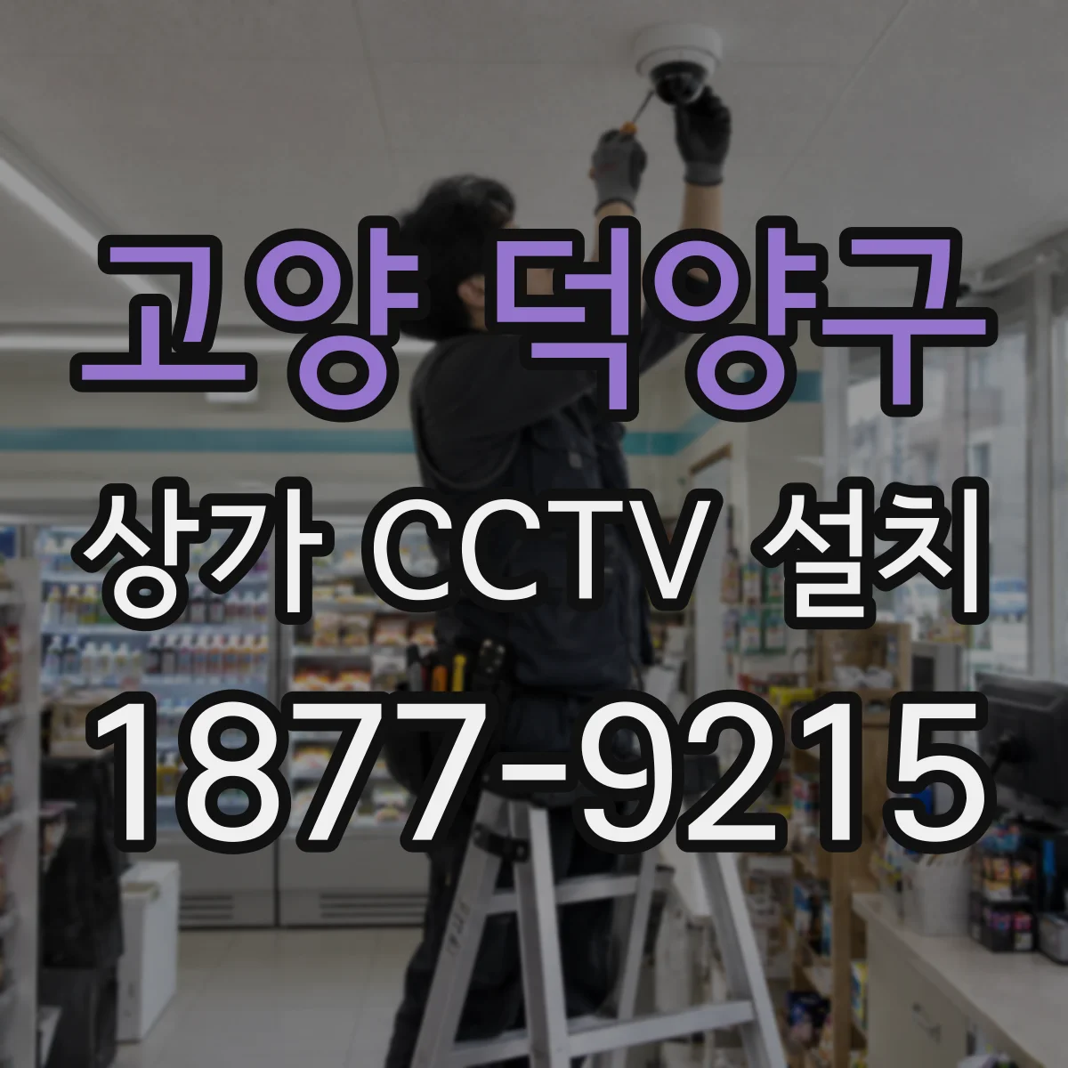 고양 덕양구 상가 CCTV 설치
