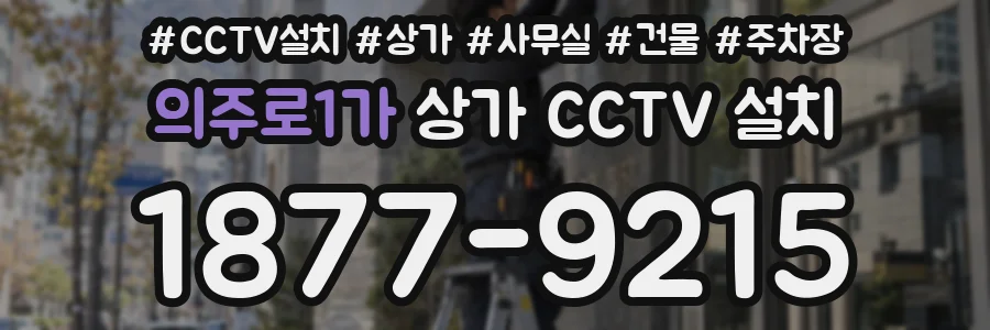 의주로1가 상가 CCTV 설치