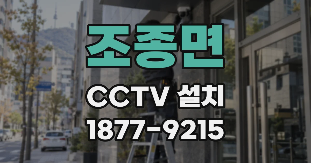 조종면 CCTV 설치