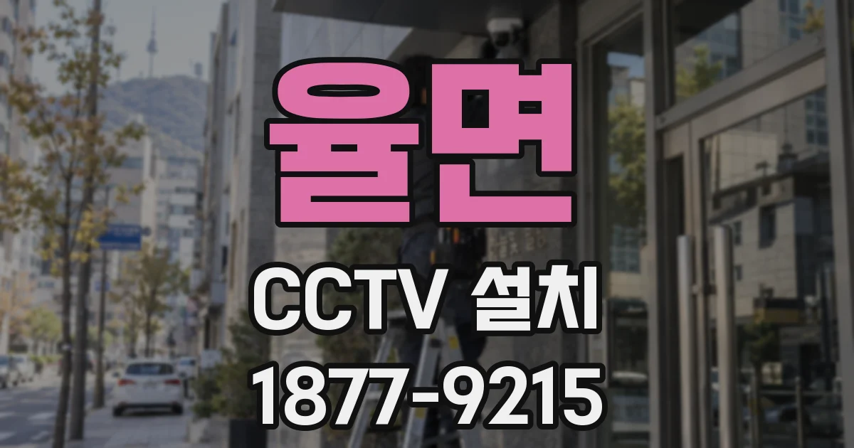 율면 CCTV 설치