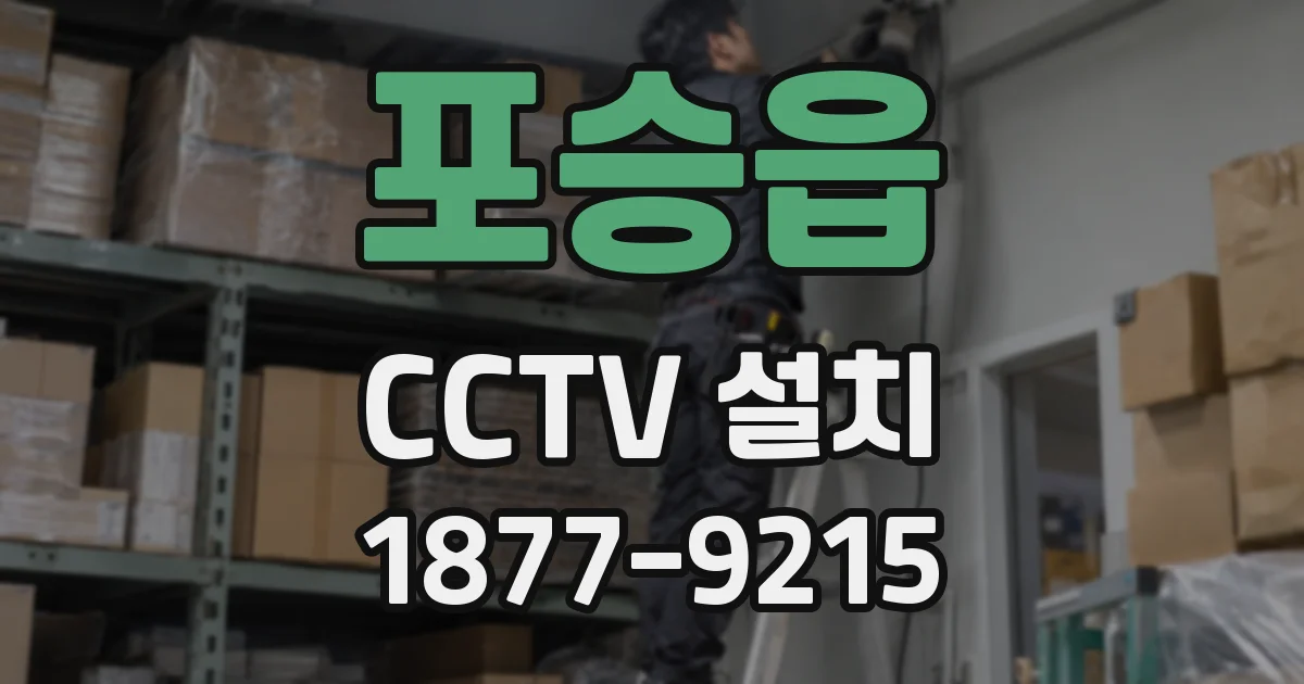 포승읍 CCTV 설치