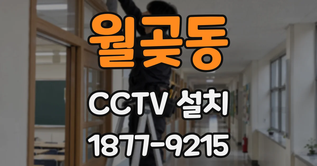 월곶동 CCTV 설치