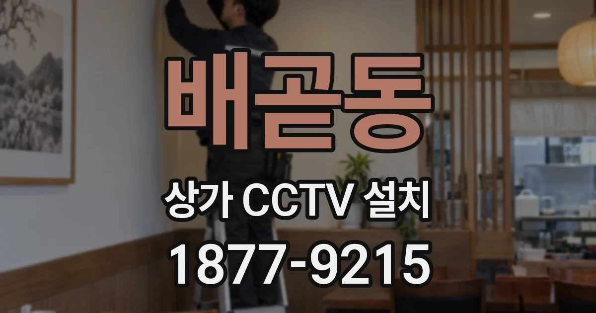 배곧동 상가 CCTV 설치