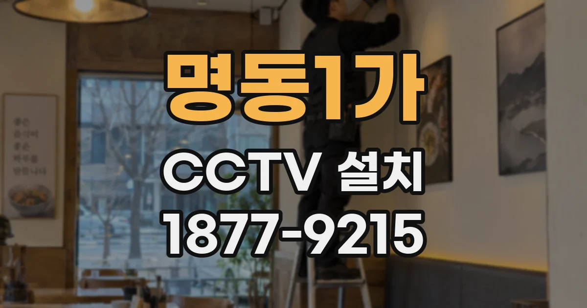 명동1가 CCTV 설치