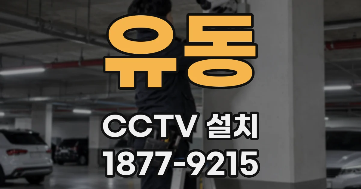 유동 CCTV 설치