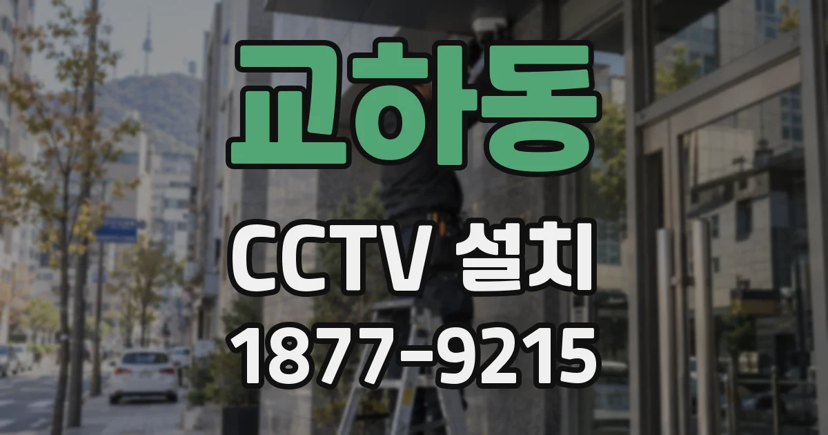 교하동 CCTV 설치