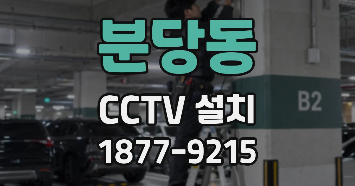 분당동 CCTV 설치