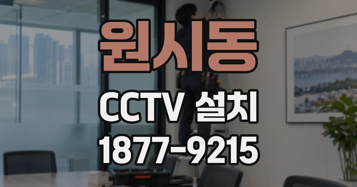 원시동 CCTV 설치