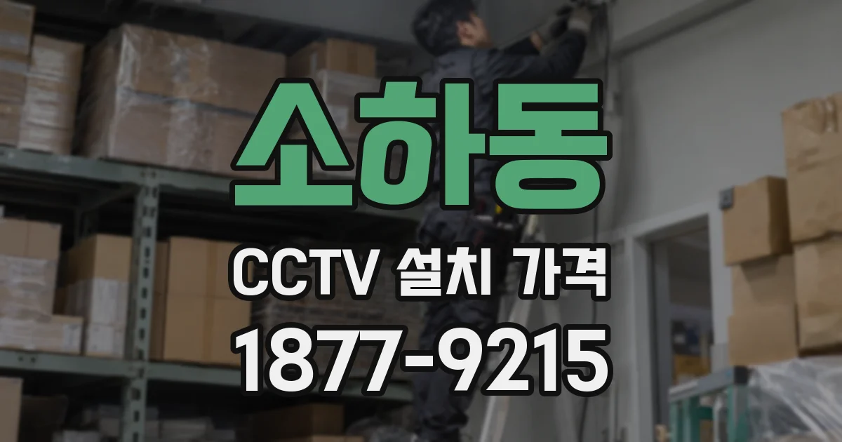 소하동 CCTV 설치 가격