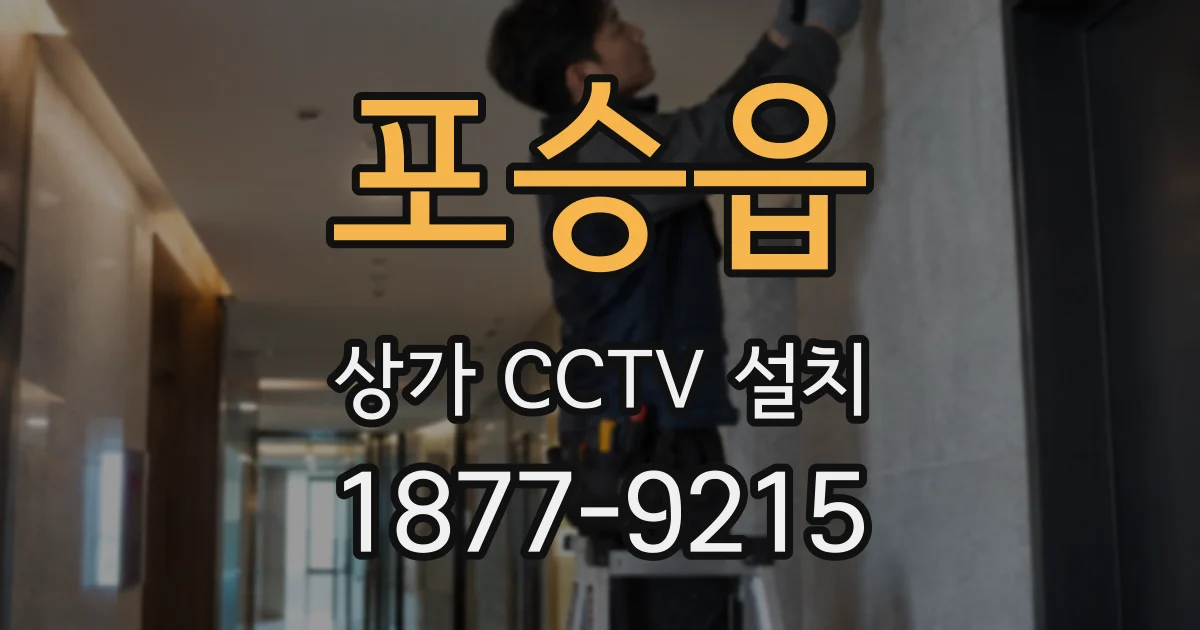 포승읍 상가 CCTV 설치