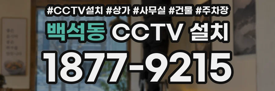 백석동 CCTV 설치