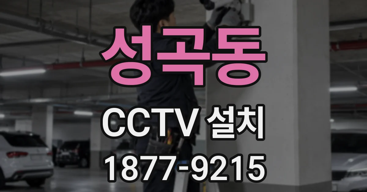 성곡동 CCTV 설치