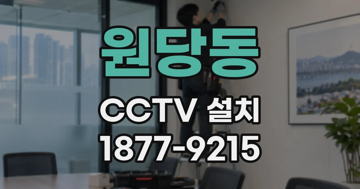 원당동 CCTV 설치