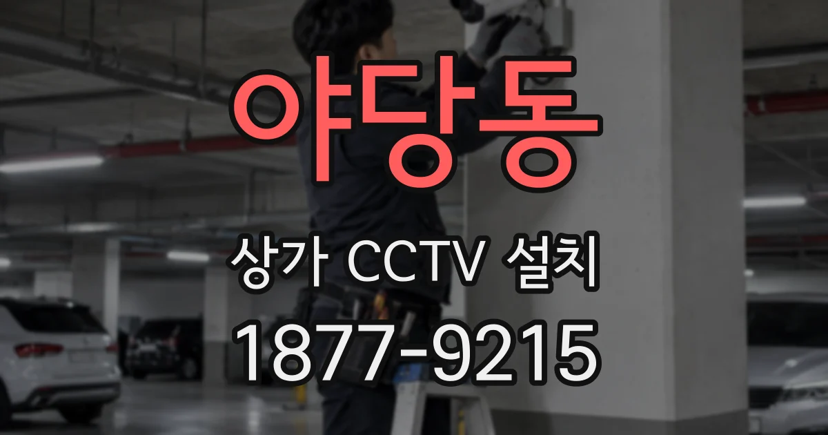 야당동 상가 CCTV 설치