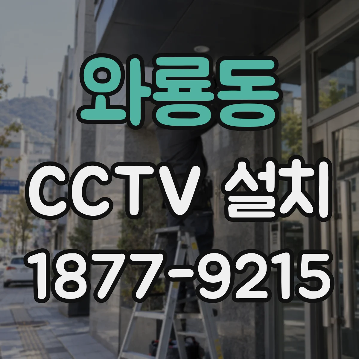 와룡동 CCTV 설치