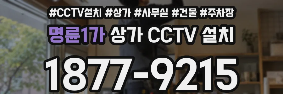 명륜1가 상가 CCTV 설치