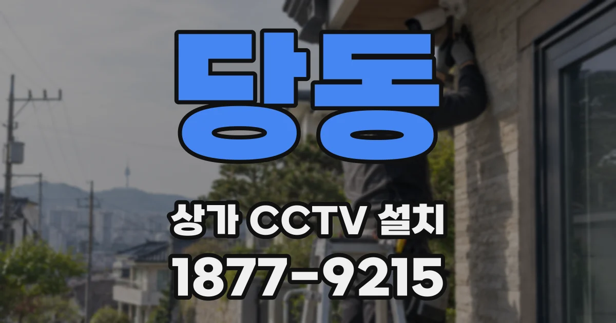 당동 상가 CCTV 설치