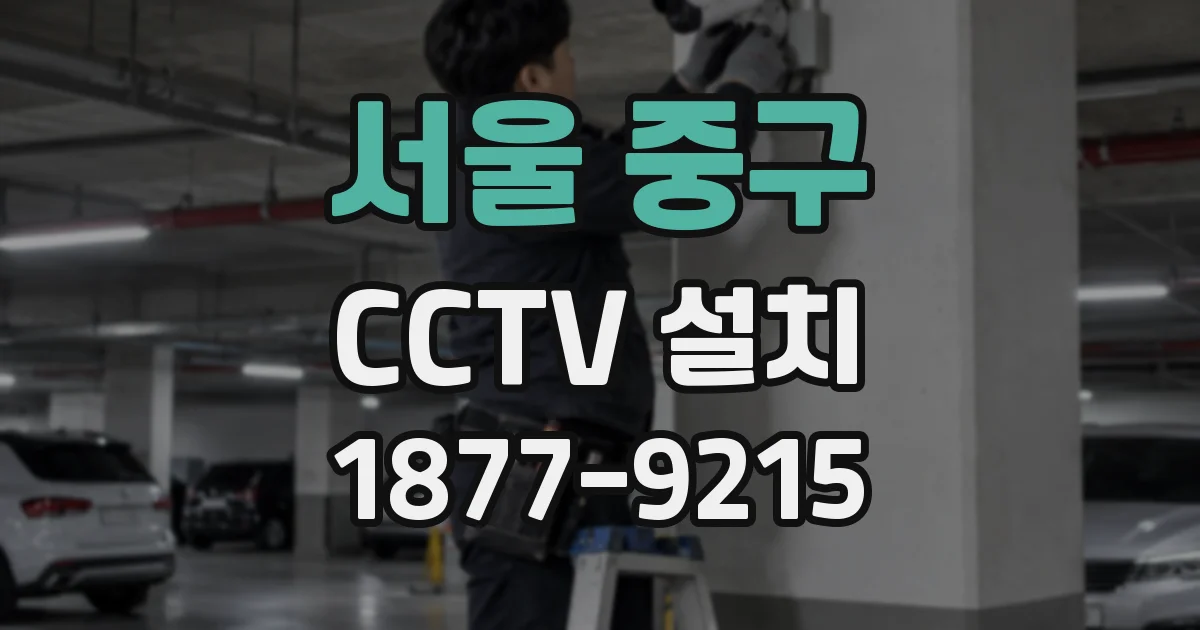 서울 중구 CCTV 설치