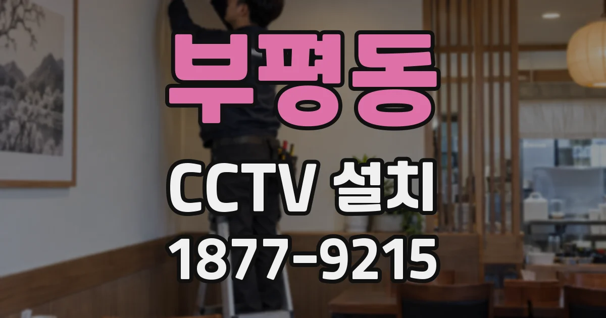 부평동 CCTV 설치