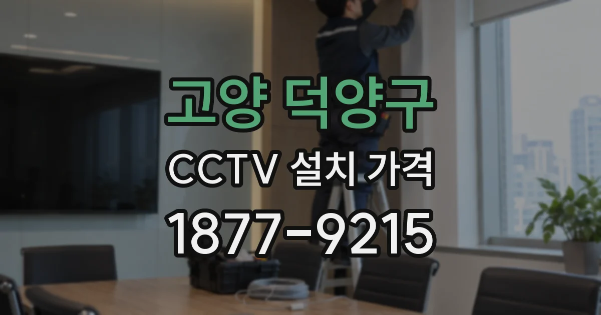 고양 덕양구 CCTV 설치 가격