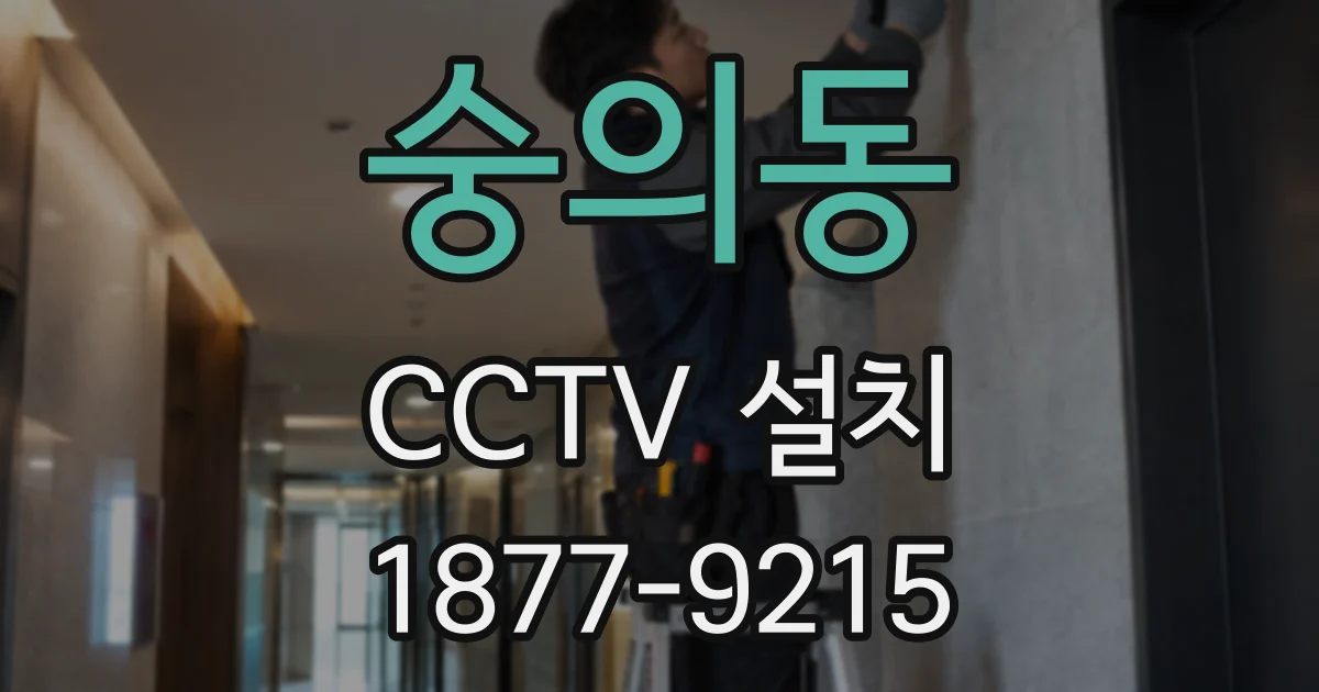 숭의동 CCTV 설치