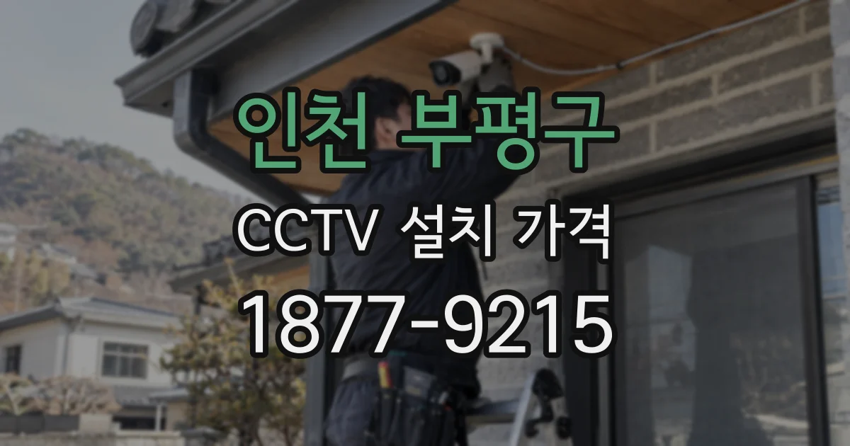 인천 부평구 CCTV 설치 가격