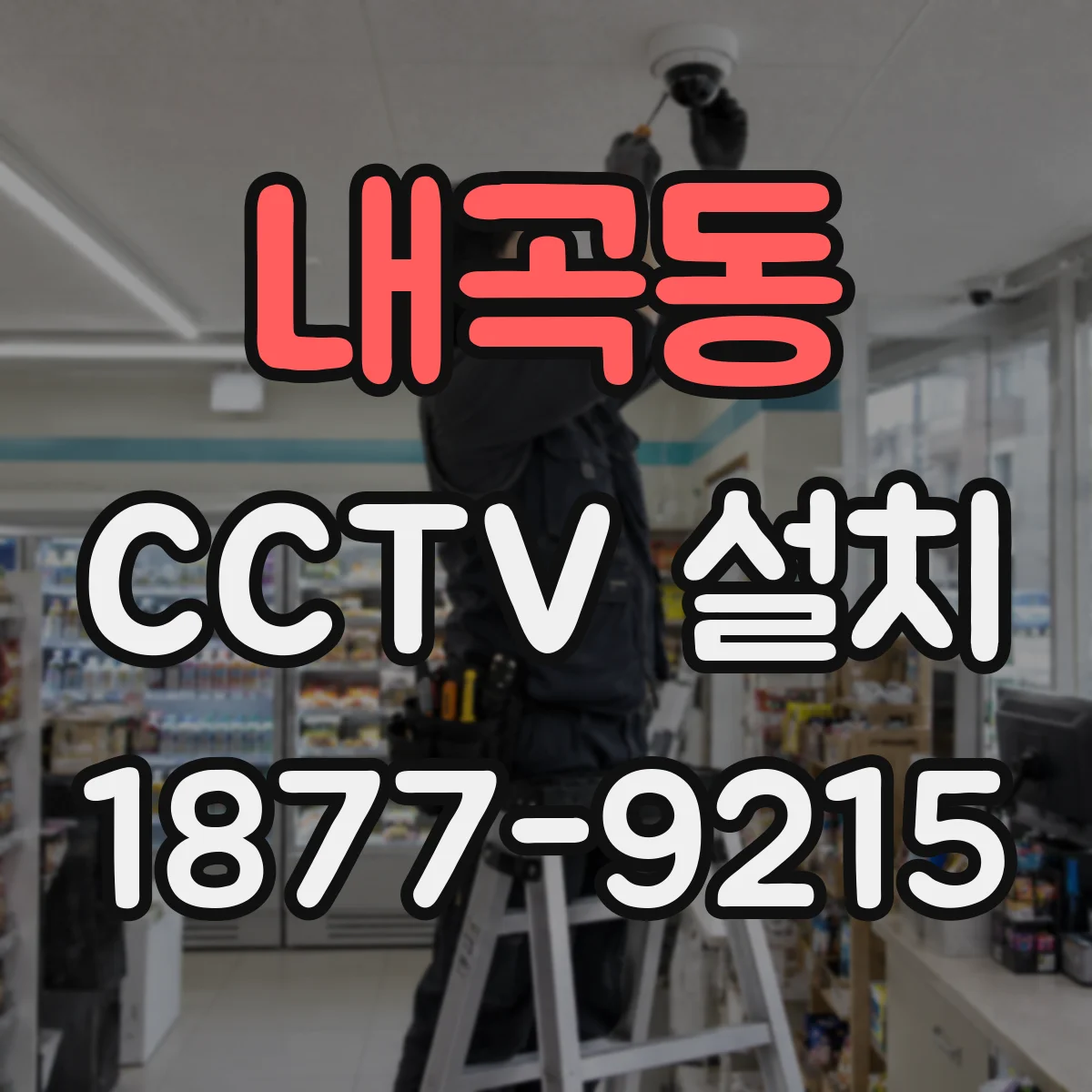 내곡동 CCTV 설치