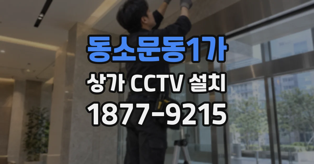 동소문동1가 상가 CCTV 설치