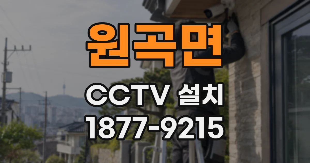 원곡면 CCTV 설치