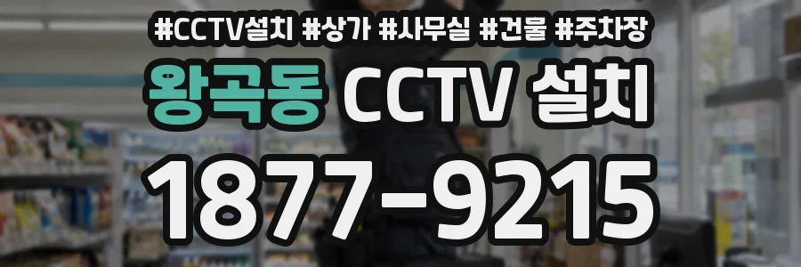 왕곡동 CCTV 설치