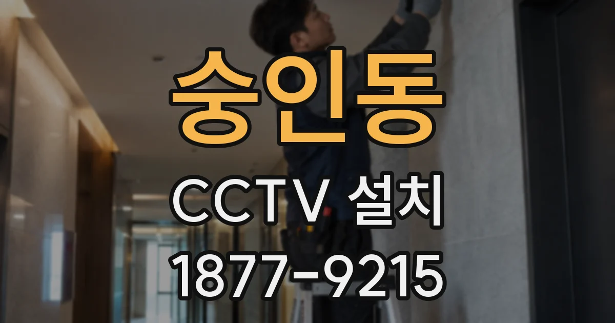 숭인동 CCTV 설치