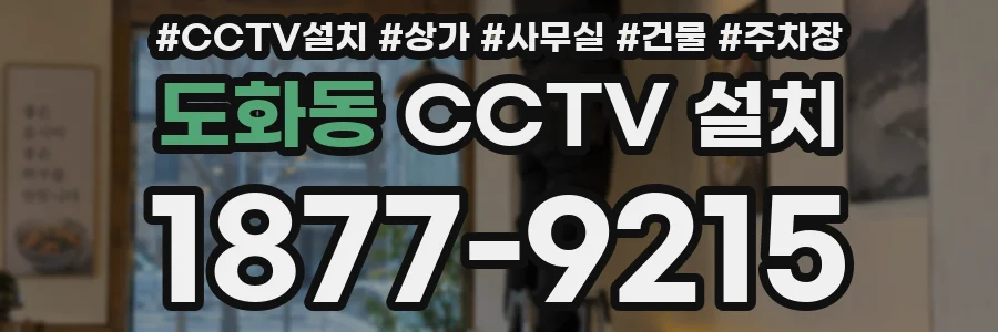 도화동 CCTV 설치