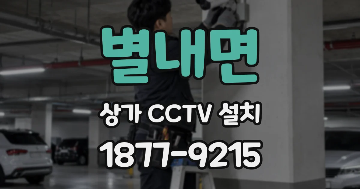 별내면 상가 CCTV 설치