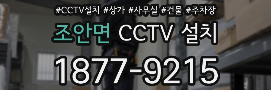 조안면 CCTV 설치