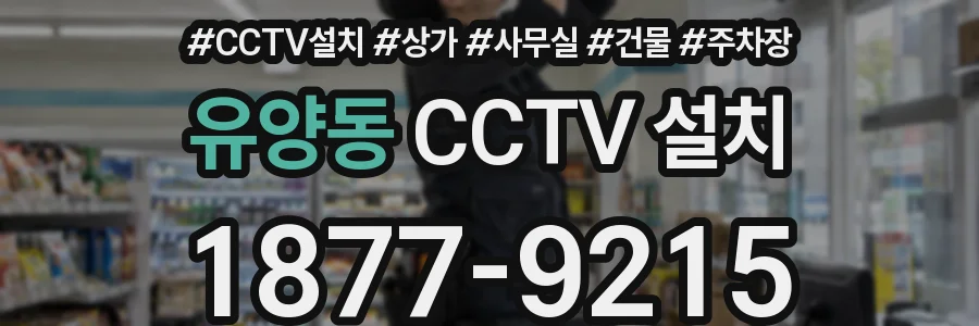 유양동 CCTV 설치